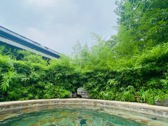 -中家鑫园温泉酒店鑫悦汤泉