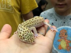 -藦茜花园宠物主题亲子互动体验馆(国顺东路店)