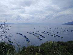 -抚仙湖禄充风景区