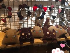 -猫咪博物馆(顶澳仔猫街店)