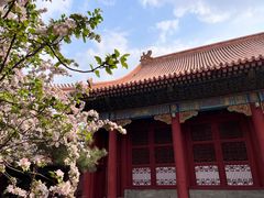 -故宫博物院(故宫)