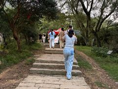 -大姆山草场