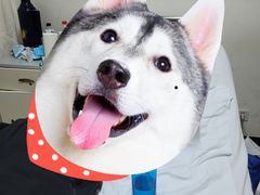 -天津市第三中心医院