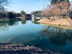 -梁鸿国家湿地公园