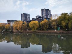 -映月湖中央公园