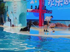 -三亚海昌梦幻海洋不夜城