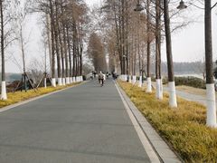 -东湖落雁景区