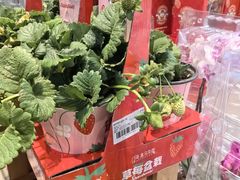 -盒马鲜生(昆城店)