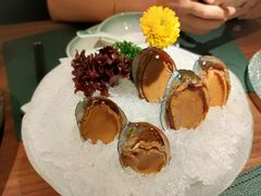 手工冰镇鲍鱼-木棉·醉心粤味(COCO Park店)