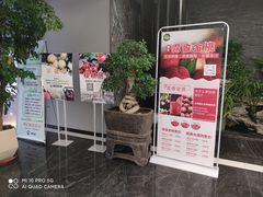 -尊足养生·影院足道·主题spa·采耳(浦江店)