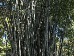 -成都杜甫草堂博物馆