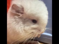 -龙猫仔乐园(惠福东路店)