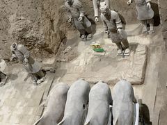 -秦始皇帝陵博物院(兵马俑)