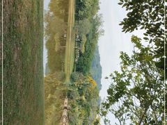 -莲花山公园
