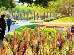 -华南师范大学(广州大学城校区)