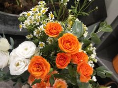 -植物学家的女儿(北马道巷店)