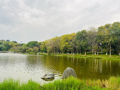 -东莞植物园