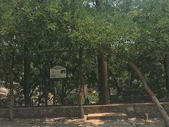 -太原动物园