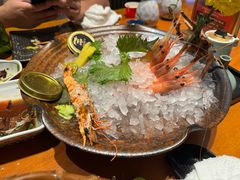 -月龍吟(朝龙汇店)