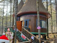 -洛阳白云山景区