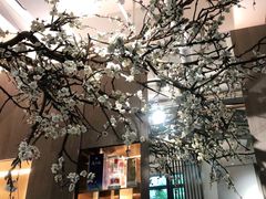 -梅花境(万科店)