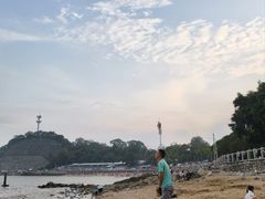 -钟叔烩鸡