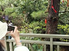 -苍山感通索道