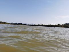 -华侨城湿地公园