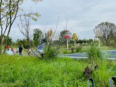 -三圣花乡旅游区