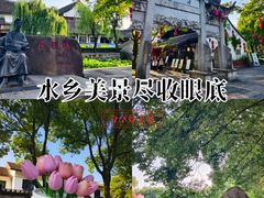 -鲁镇