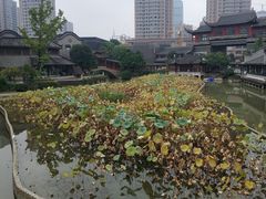 -龙潭水乡