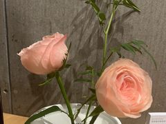 -四季餐厅·新津菜(环湖中路店)