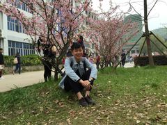 -武汉大学-樱园