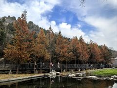 -白水寺森林公园