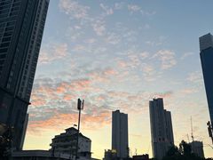 -新峰肉骨茶