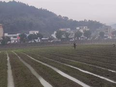 -红山村