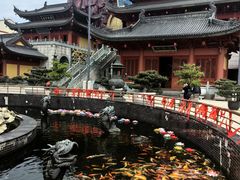 -上海东林寺(金山区)