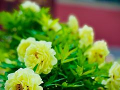 -大钟寺古钟博物馆