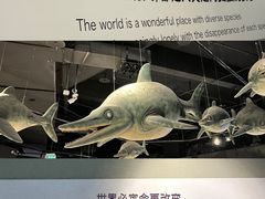 -重庆自然博物馆(新馆)