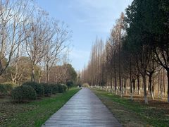 -南湖湿地公园