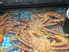 -忆江南·临江鱼馆