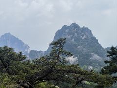 -黄山风景区