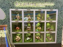 -芸山季·云南山珍菌火锅(南翔印象城MEGA店)