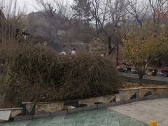-金隅凤山酒店