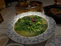 鸡汁桑叶-围龙屋客家食府(福田店)