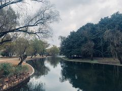 -上海共青森林公园