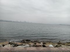 -深圳湾公园-停车场