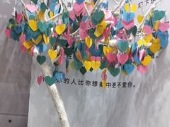 -星空失恋博物馆(北京路旗舰店)