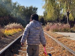 -永定河休闲森林公园