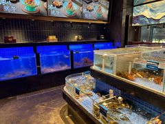 -青蓬蒸汽海鲜·深圳老字号·团建聚会(壹方城店)